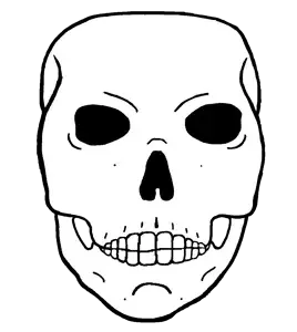 skeleton_pol_face.png
