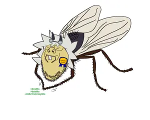 nuswa fly.png