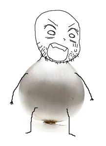 youmu onion.png