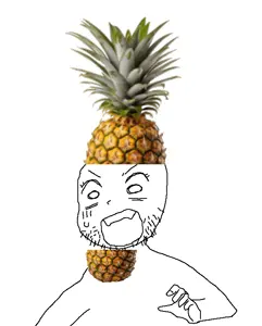 pineapple_youumu.png