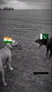 India vs Pakistan #india #indian #respect #pakistan #trollface #troll #operationsindoor #shorts - Random Mix (1080p).mp4