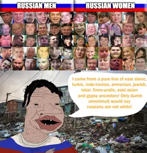 1A1A2a122a1111q11111112A23-pigg.png