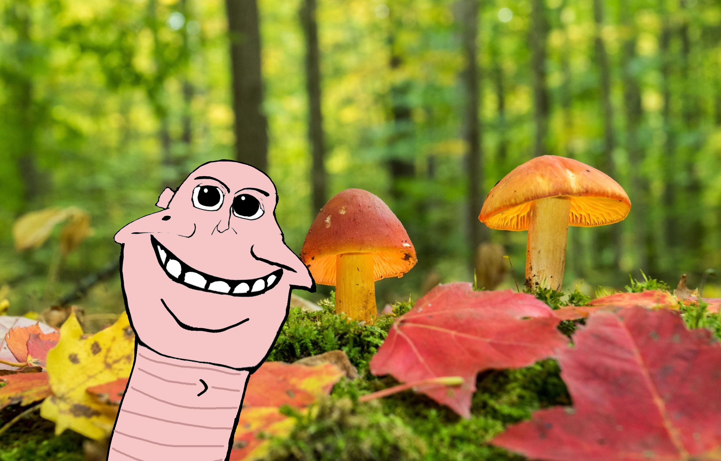 chudjak, cobson, hornycuck, hornyson, impish hornycuck, jartycuck, patrick, jartycuck, animaljaks, 1soyjak