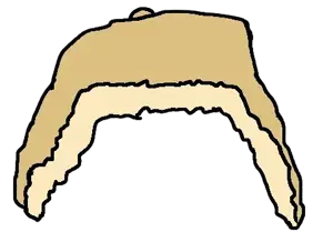 IMG_9031.png