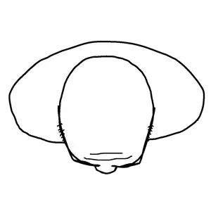 Untitled1120_20260722192740.png