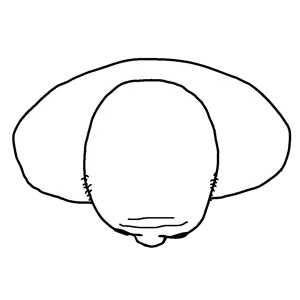 Untitled1120_20260722192742.png