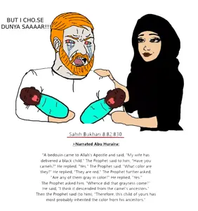 1784747838899f-2.png