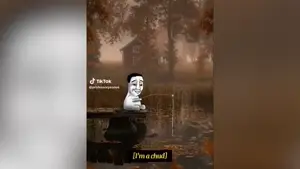 videoplayback.mp4