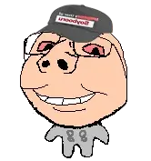 1A1A2a22a111q11111112A23-pigg.png