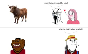 nfgf.png