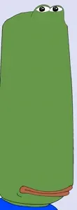 basfrog.jpg