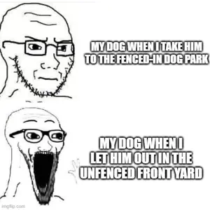 75t0lo.jpg