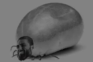 1781007066008v.png
