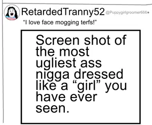 trannyscreenshot.png