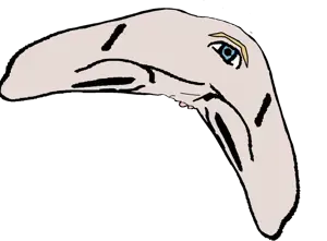 yes_rat_boomerang.webp