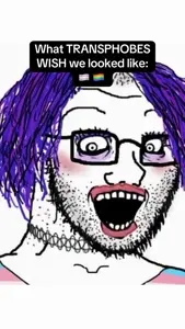 Crazy they call us snowflakes but can’t even draw us accurately without coping 🤪 #trans #transi.mp4