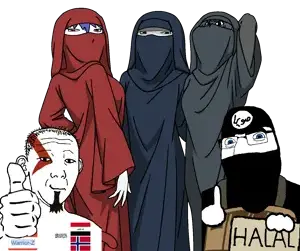 hijabi mist.png