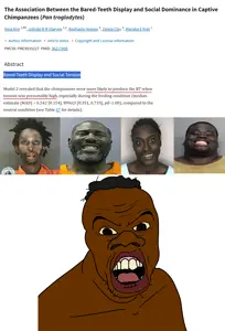 NIGGGGER.png