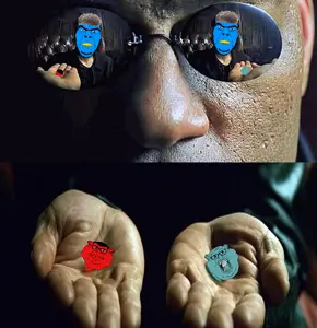 red_pill_blue_pill_true_xitter.png