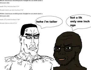 wit.png