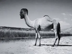 gigacamel2.png