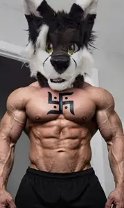 H6y91.jpg