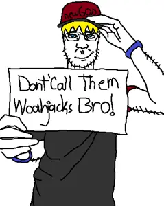 ddsfdk.png