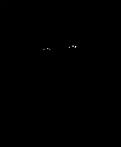 Untitled.png