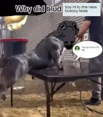 589 sin título_20260731181349.png