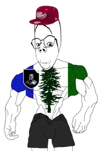 trve_cqscqdiqn_vvqn.webp