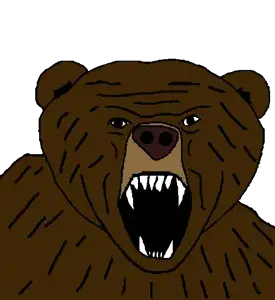 bearjak_template.png