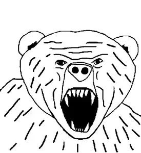 bearjak.png