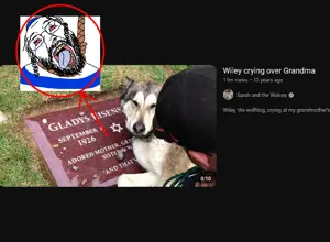 bernd, 1soyjak, animal, beard, black eyes, black hair, crying, dog, dog ear, ear