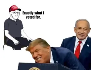 1785650877430145.jpg