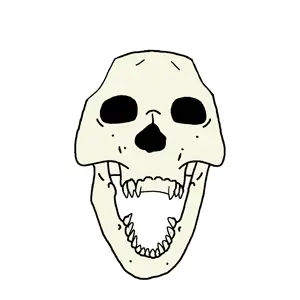 trannyfur.png