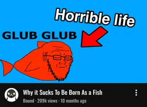 Untitled430_20260803015142.png