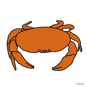 New Project (53).png