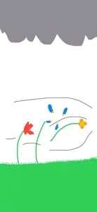 IMG_2875.jpeg