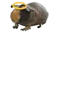live_and_let_poog.png