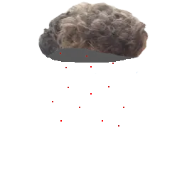 xitter.png