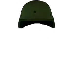 image (55) (3).png