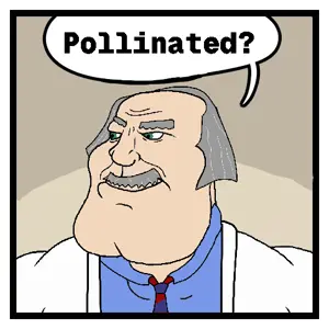 Doctorcoomer pollinated.png