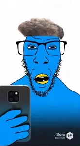 1incomprehensible.mp4
