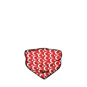 turk bandana 22.png