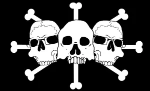 jollyroger.png