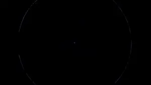 0804(1).mp4