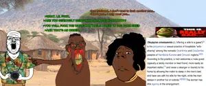 niger.png