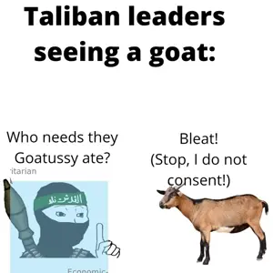 taliban.webp