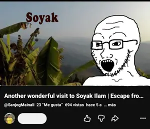 soyak, 1soyjak, animated, bald, black eyes, glasses, half body, irl background, looking to the left, nature