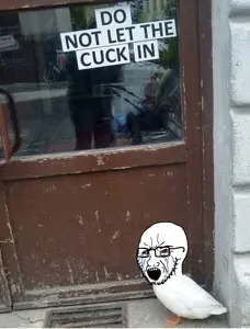 donotletthe_cuck_in (1).png